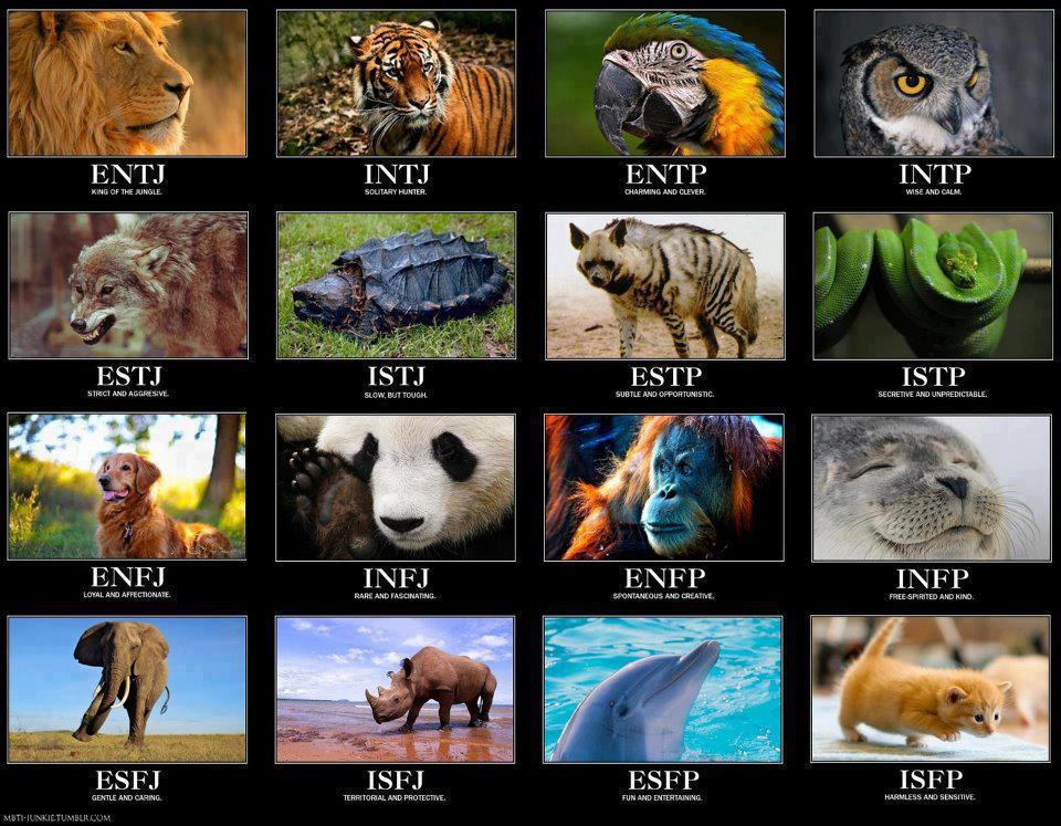 Meredith MBTI Personality Type: ESFJ or ESFP?