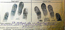 220px-Fingerprints_of_Anna_Timiriova_3 (1)